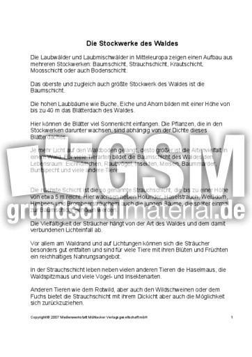 Fehlerlesen-Stockwerke-des-Waldes-nur-Text-1-2.pdf